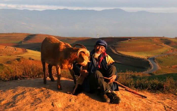 灶安西北家败人亡什么意思,农村俗语墙上加墙家败人亡啥意思