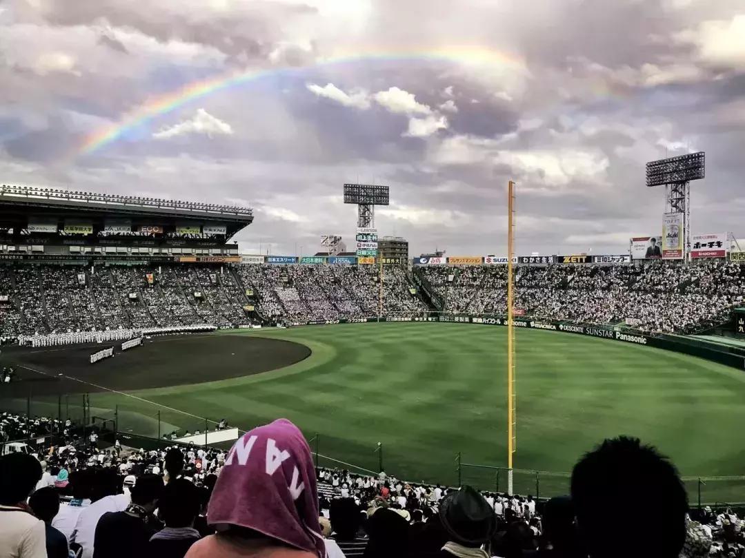 战争恋爱,战争与爱情解析