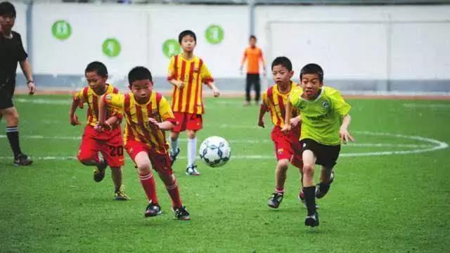 云南省示范学校,云南省一级示范学校