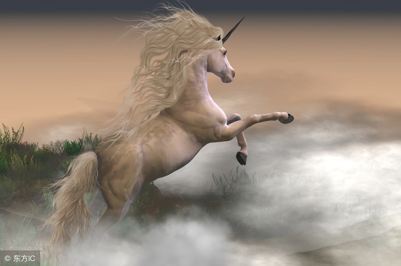 市值超亿美团点评,美团点评市值突破万亿