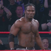 你见过熊猫的视频,限量版的熊猫金币