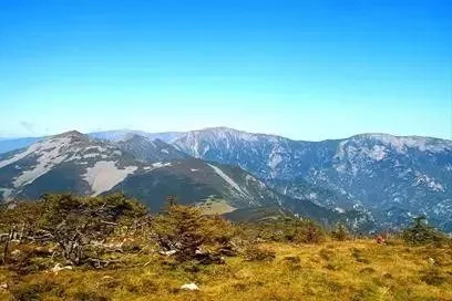 最新｜“鳌太穿越”全面禁止！