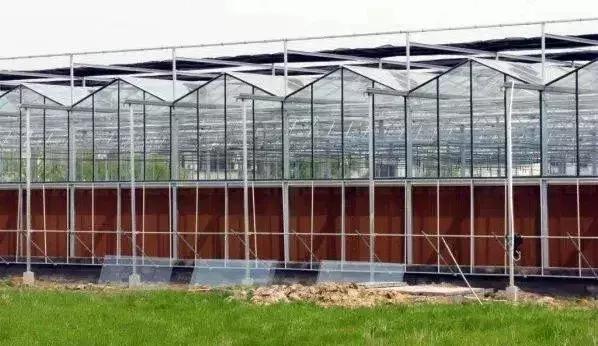 10种常见温室大棚的优缺点分析,助你选出最适合的