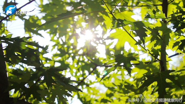 精湛医术护佑女性健康敬业奉献荣膺最高奖项——郑大一附院纪妹