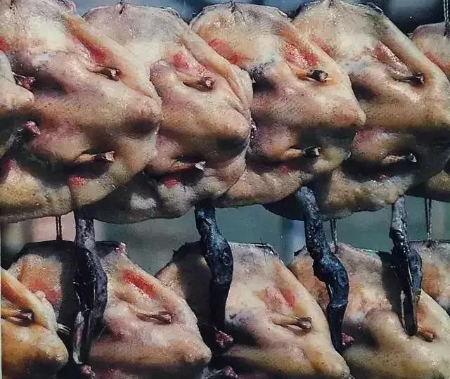 100张绝密南康老照片,100张信丰绝密老照片