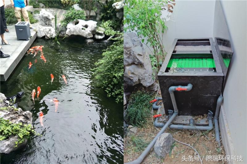 锦鲤鱼池过滤高清详细设计图纸,全自动过滤系统锦鲤鱼池施工方案
