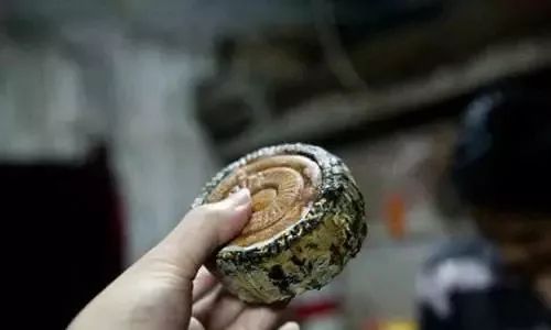 月饼质量不合格的有哪些,月饼抽检的主要不合格项是哪些