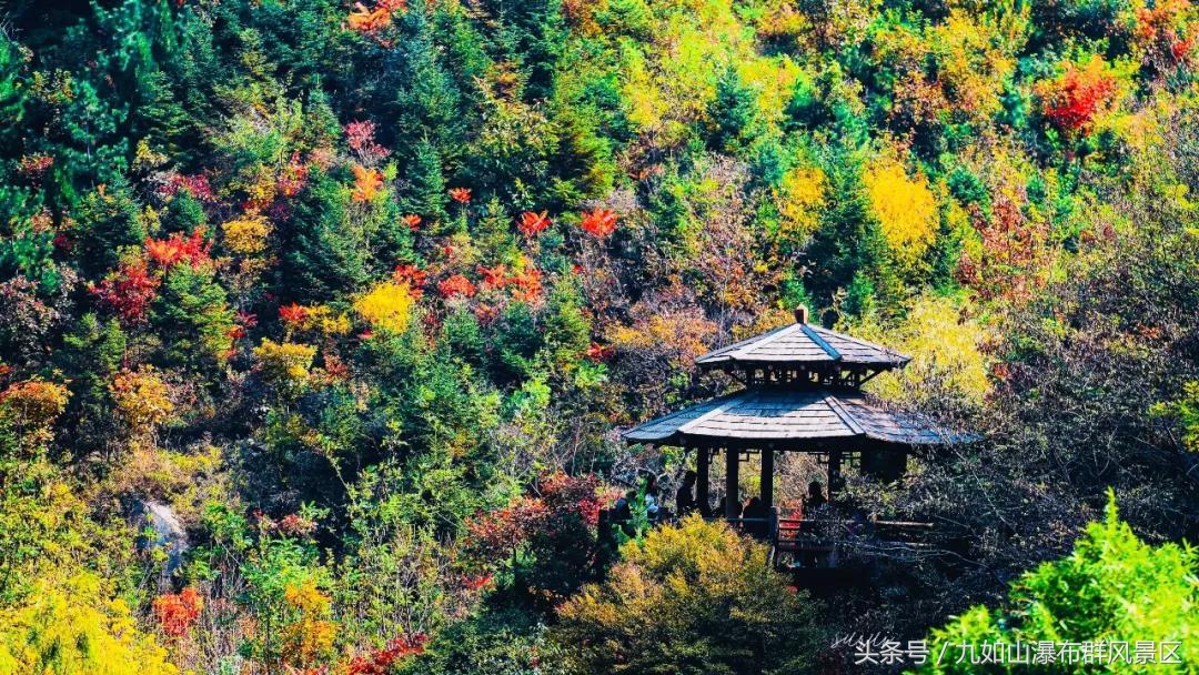 怎样用一百元吃遍上海美食街,如何用100元吃遍美食