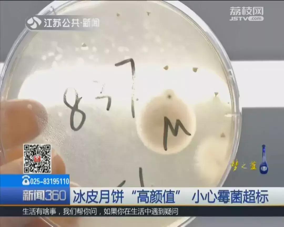 这些月饼不合格,这些食品不合格