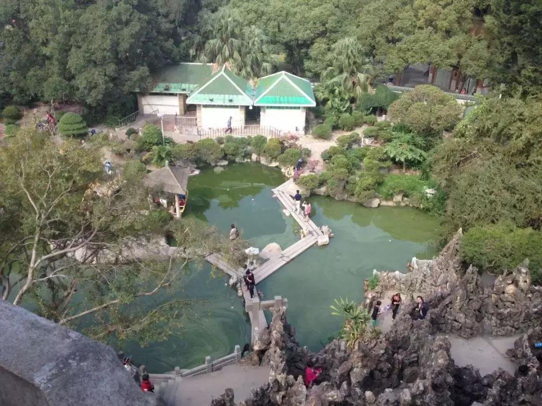 鼓浪屿旅拍全攻略,厦门鼓浪屿吃喝玩乐拍照全攻略