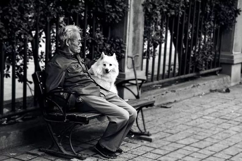 最丑mpv排名,最丑mpv二手车