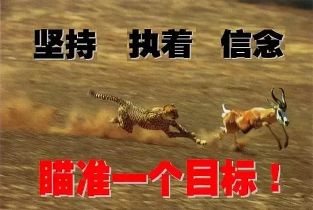 3分钟让你搞懂如何选择创业项目,3个案例教会你如何选择创业项目