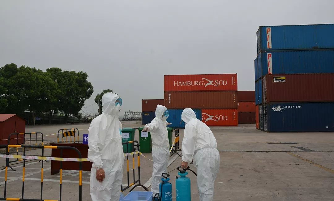 非洲猪瘟丨这个省境内连报8起……海关采取这样一些最严格的口岸防控措施