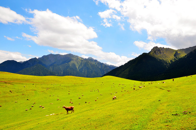 乌鲁木齐周边一日游最佳自驾路线,十月乌鲁木齐周边一日自驾游
