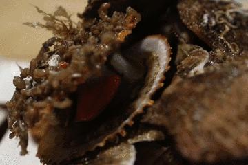 开海特别新鲜的海鲜有哪些,开海了有什么应季海鲜