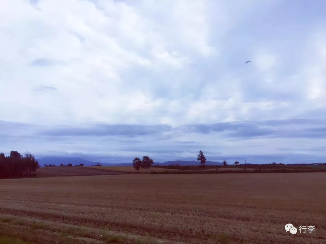 行李︱老艾：只要活着，谁不在路上