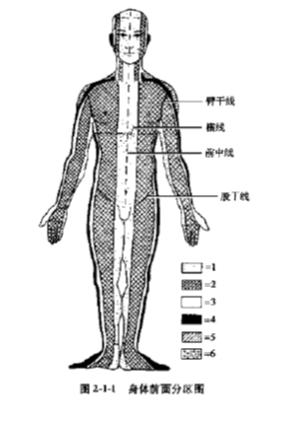 中医针刺绝招大全,针灸腕踝针位置示意图