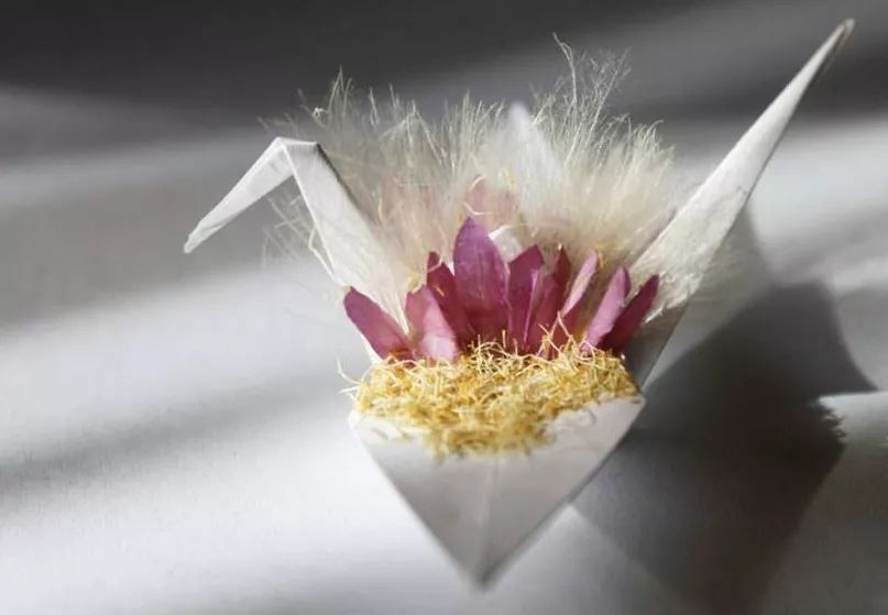 每天折一个千纸鹤,每天折一只纸鹤