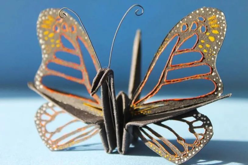 每天折一个千纸鹤,每天折一只纸鹤