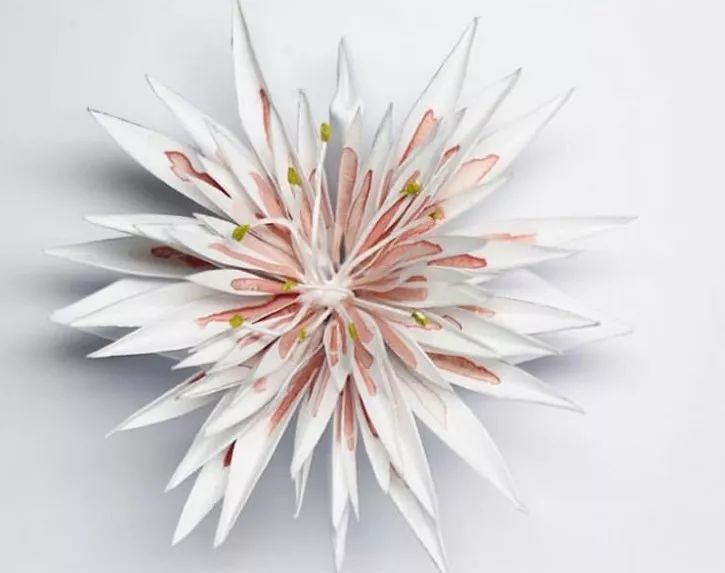 每天折一个千纸鹤,每天折一只纸鹤