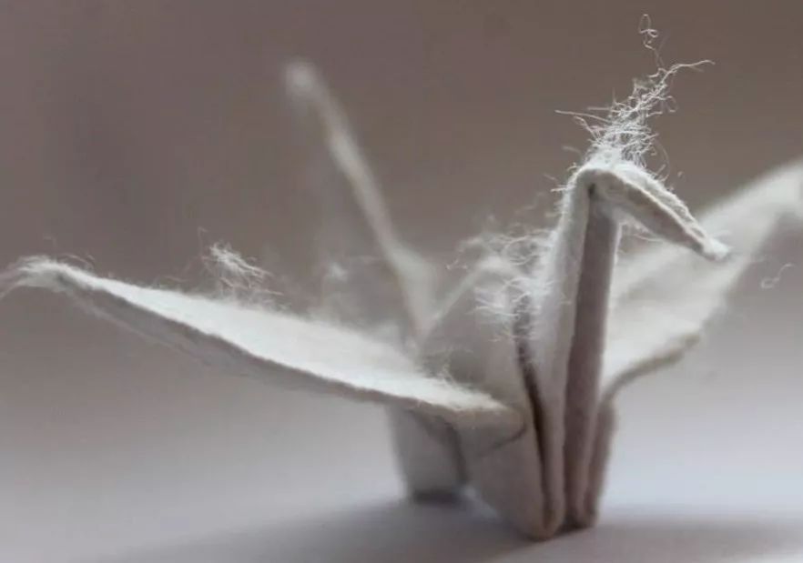 每天折一个千纸鹤,每天折一只纸鹤
