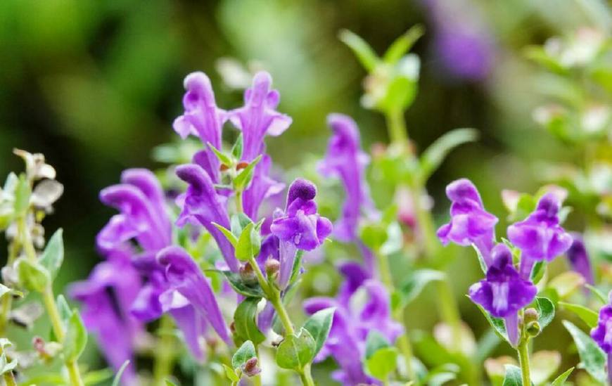 时光荏苒岁月如梭莫要蹉跎岁月,匆匆岁月唯有时光不可辜负