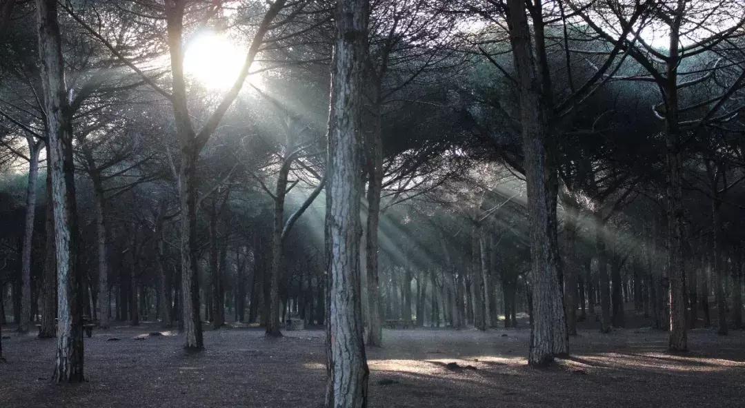 非正常死亡：夜跑路上有个变态，专挑短发长腿女孩下手