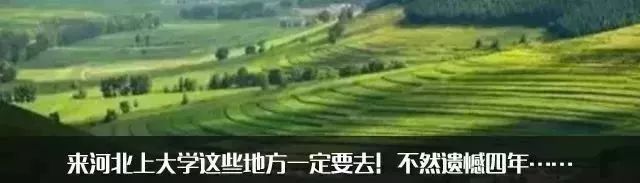 第三届保定市旅发大会吉祥物亮相,保定首届旅发大会