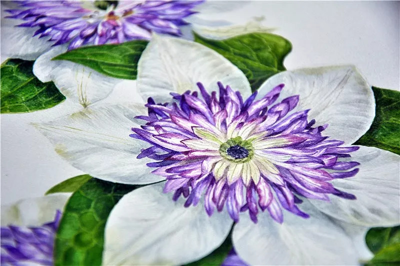 她画的超写实水彩花卉美到窒息,让人惊艳的水彩画