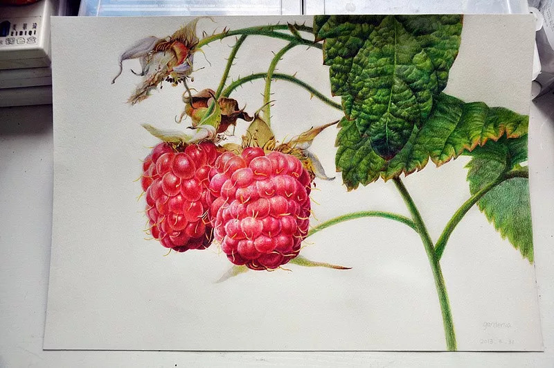 她画的超写实水彩花卉美到窒息,让人惊艳的水彩画