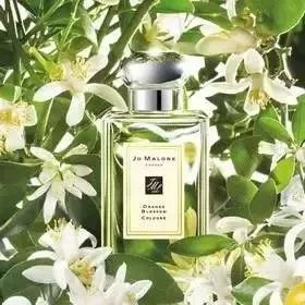 jomalone祖马龙香水小样,jomalone祖玛珑香水什么价位