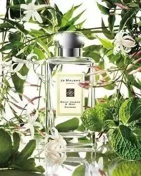 jomalone祖玛珑香水鼠尾草木香,jomalone祖玛珑香水白茶薄荷