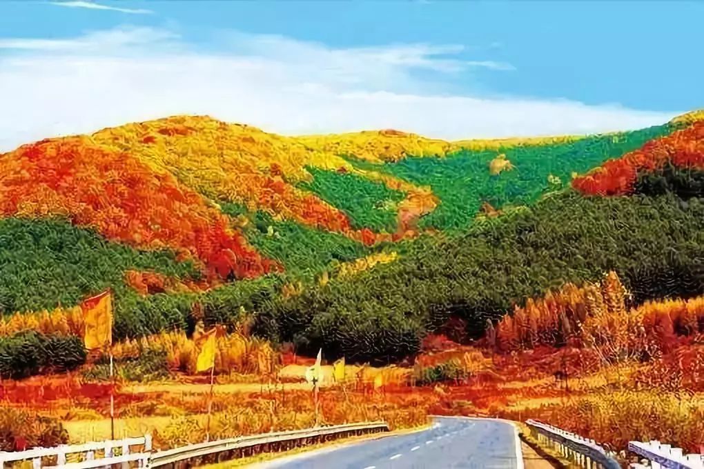 敦化寒葱岭红叶谷风景,吉林红叶最新视频