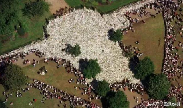 14岁贝克汉姆,14岁贝克汉姆的儿子