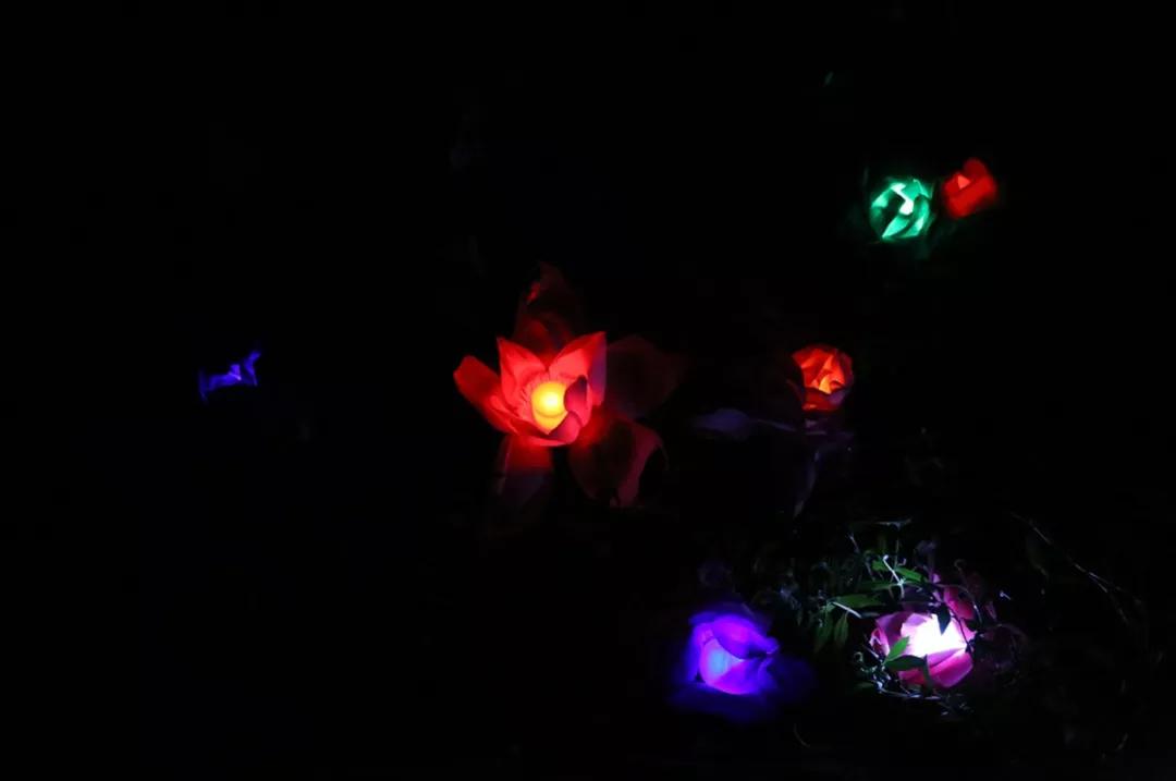 家乡魅力秀：武汉慧心雅社演绎东湖民间祭月，媲美古装实景大剧