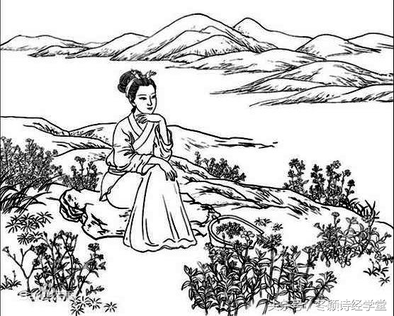 诗经周南卷耳朗读,诗经国风周南葛覃朗读