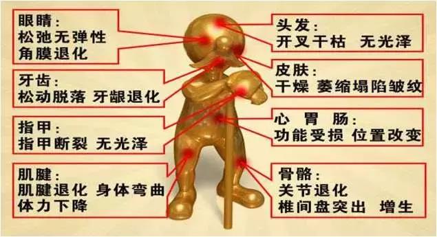 史上最大福利｜元素骨肽来喽，还买二送一，还送油哦~