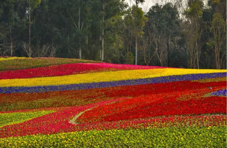 国庆大假成都周边哪里玩一天,成都绿道步行攻略都在这