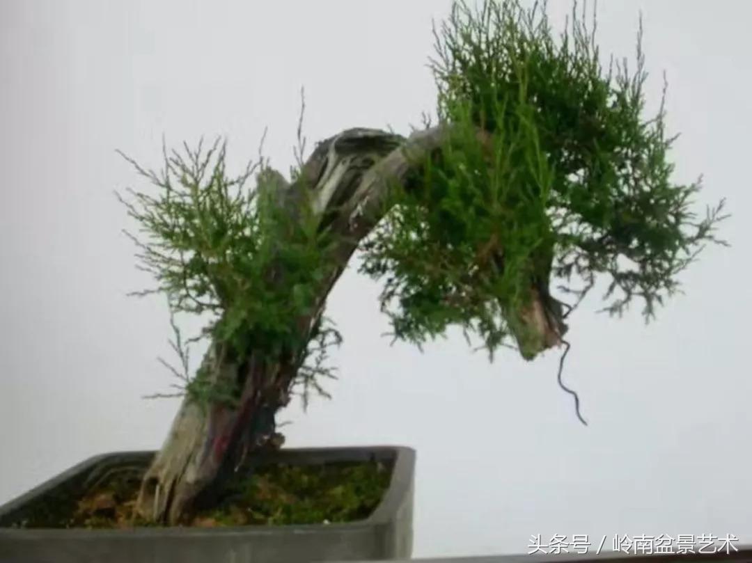 神来之笔绘画作品欣赏,神来之笔书法作品大全