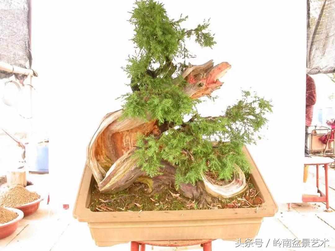 神来之笔绘画作品欣赏,神来之笔书法作品大全