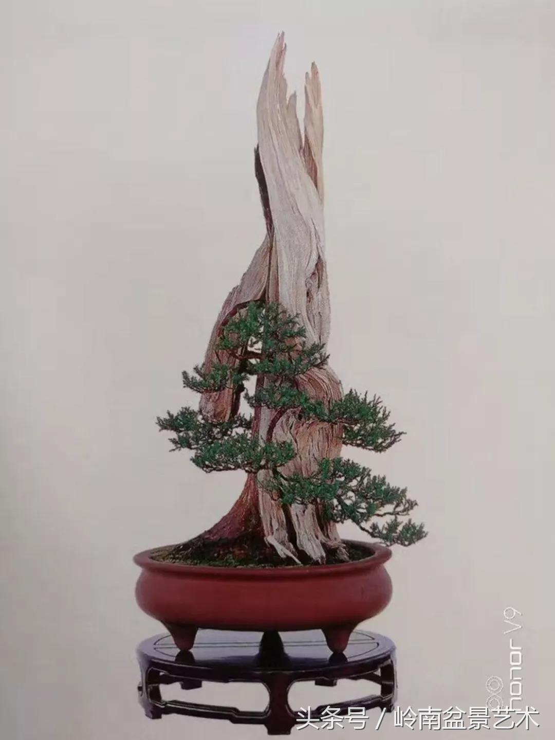 神来之笔绘画作品欣赏,神来之笔书法作品大全