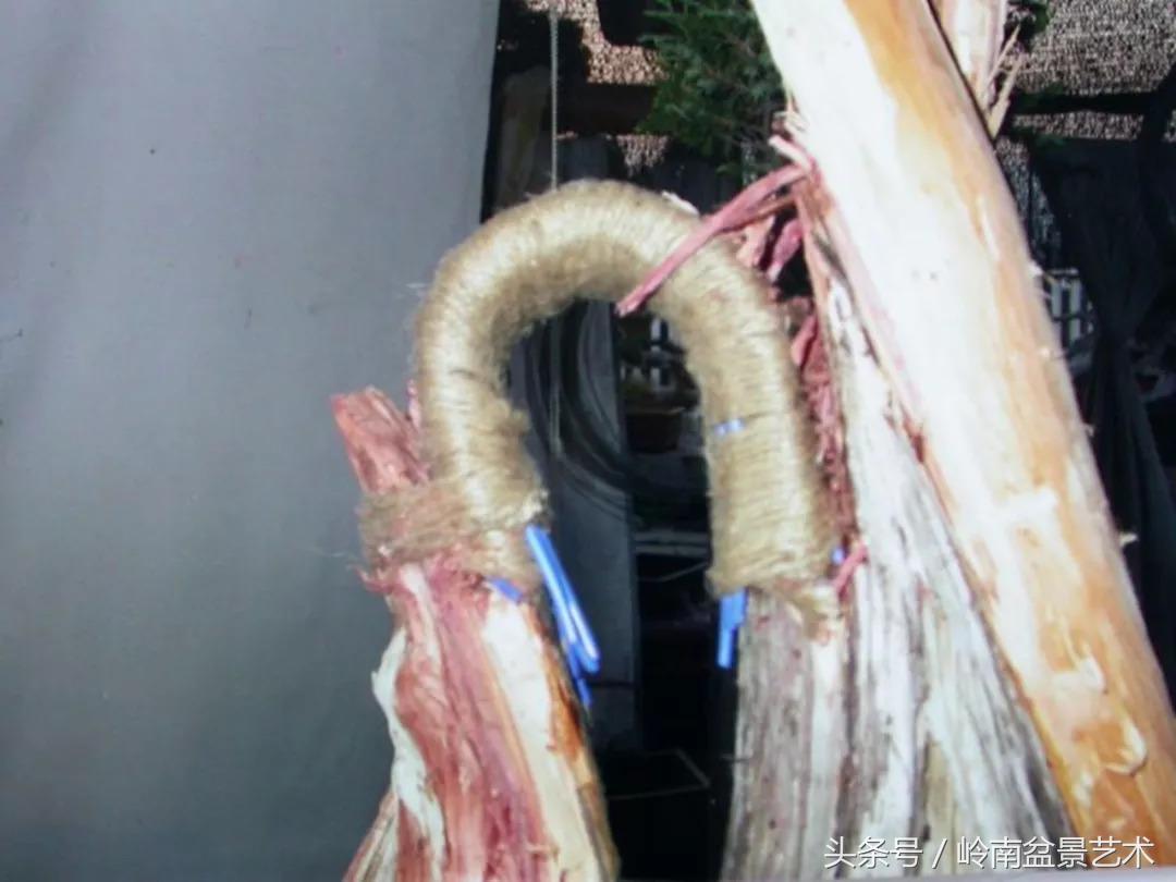 神来之笔绘画作品欣赏,神来之笔书法作品大全