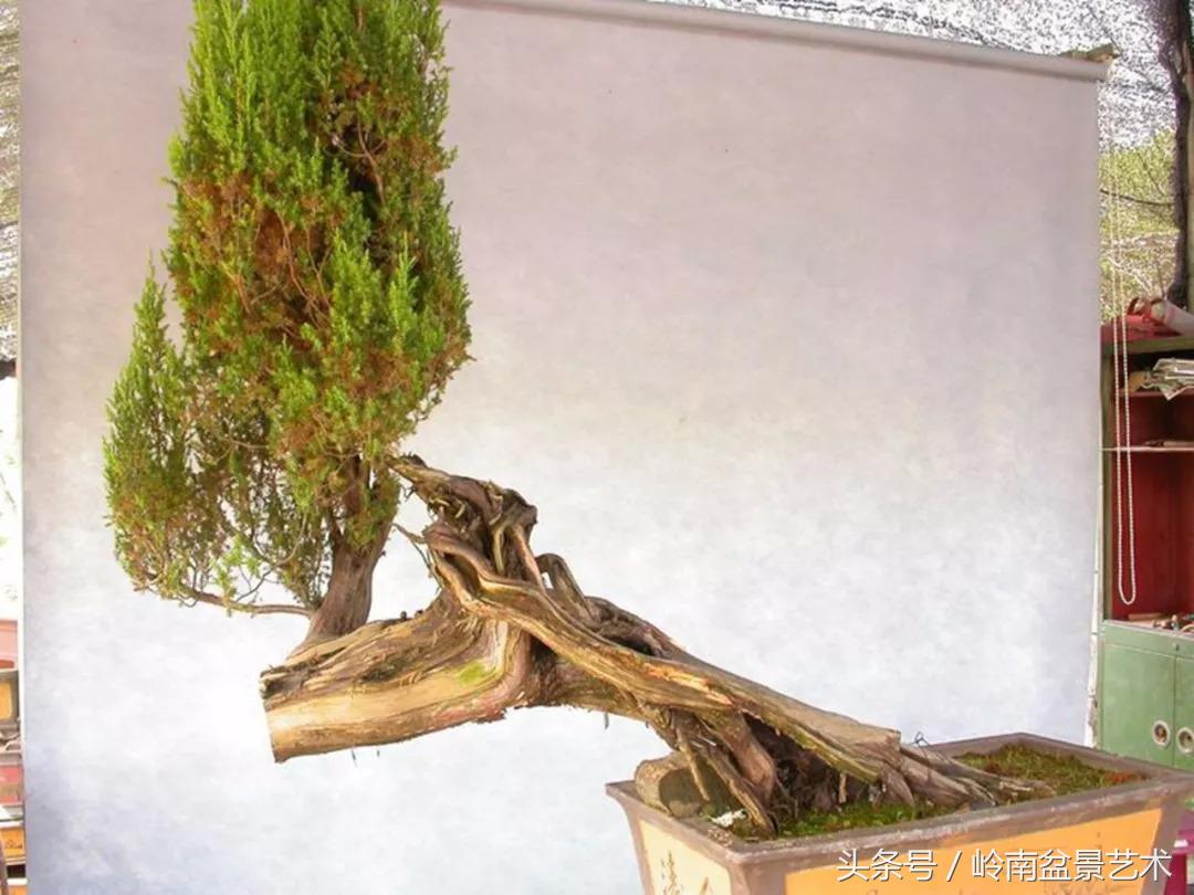 神来之笔绘画作品欣赏,神来之笔书法作品大全