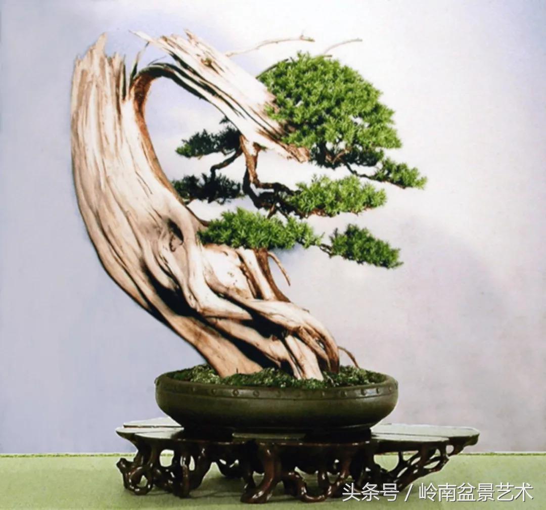 神来之笔绘画作品欣赏,神来之笔书法作品大全