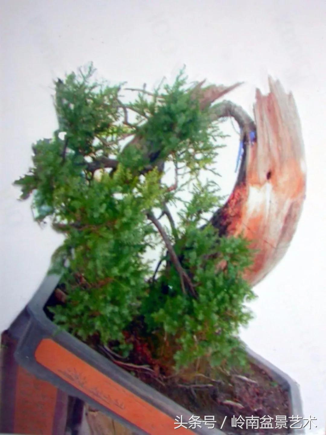 神来之笔绘画作品欣赏,神来之笔书法作品大全