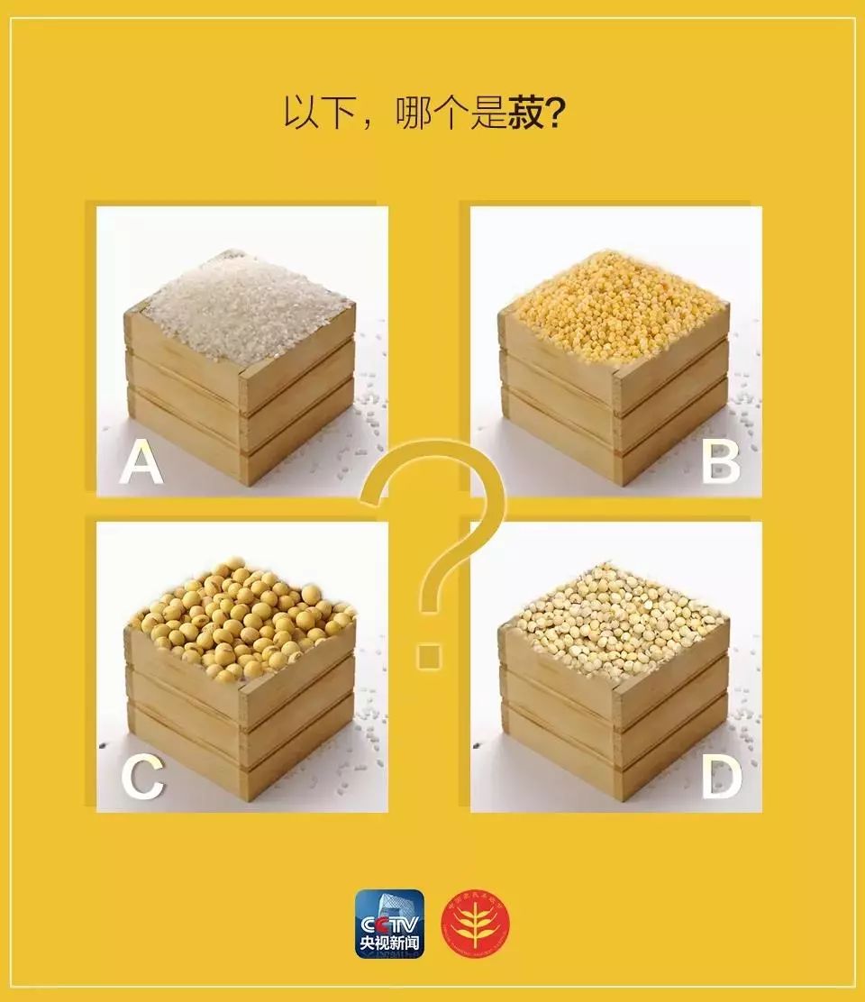 中国五谷丰收节,农民丰收节是哪五谷