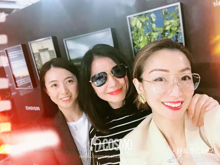 郭采洁哪一年拍的喜宝,钟楚红朱锁锁