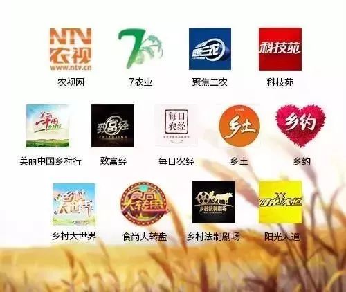 2018直播丰收节：笑喷！体育名嘴孙正平来杨凌，解说牛、羊、西瓜的大检阅！