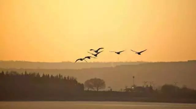 秋分攻略,秋分活动攻略