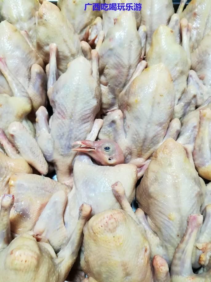 南宁家庭私厨上门,私厨到家有哪些产品服务